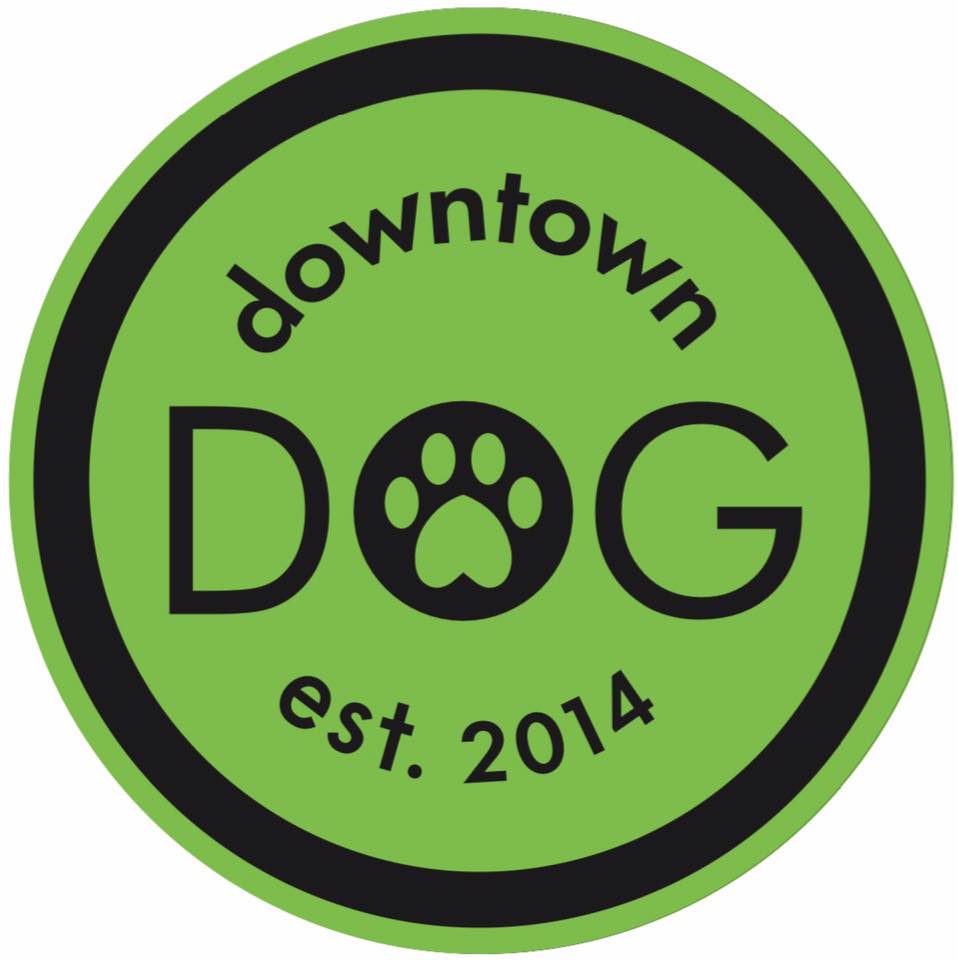 Downtown Dog
