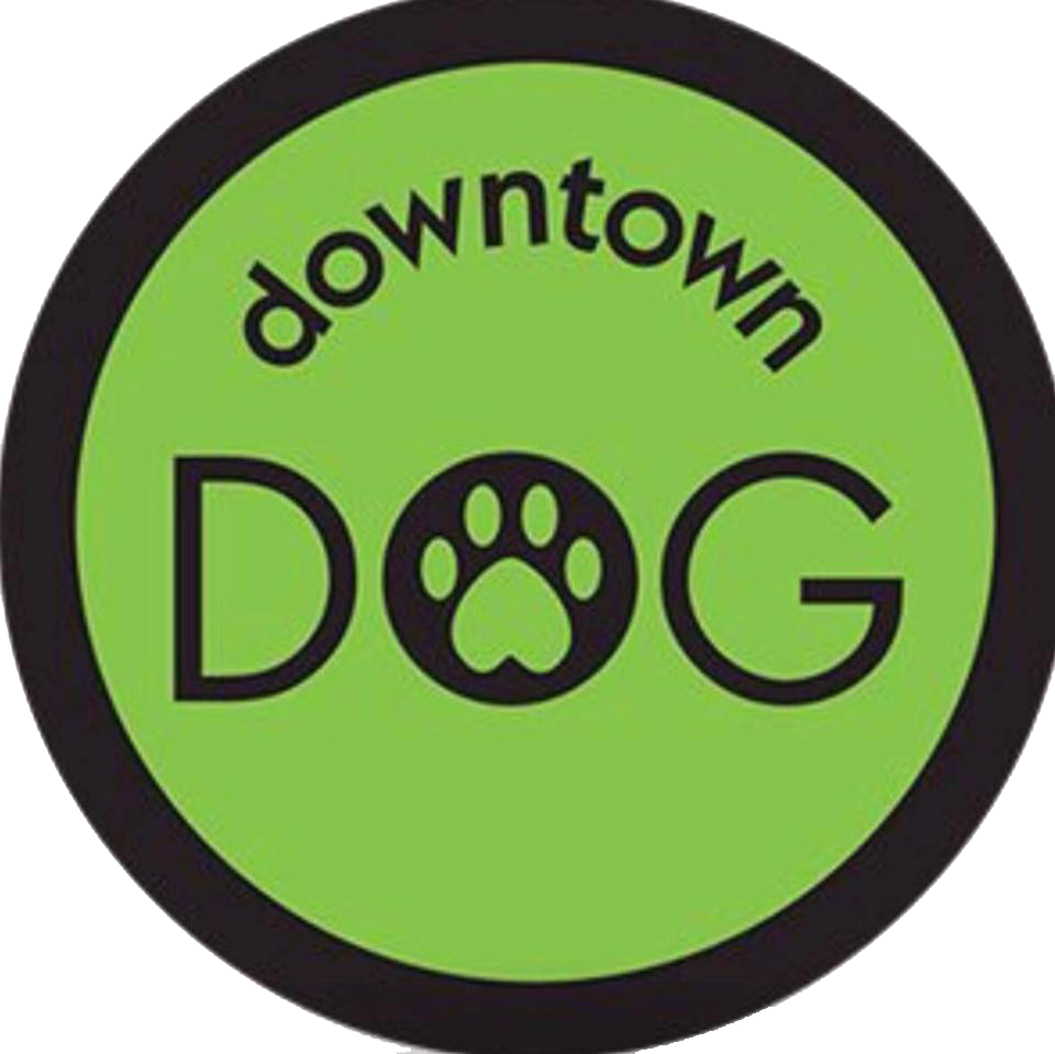 Downtown Dog